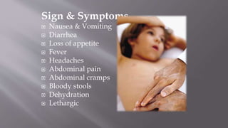 Sign & Symptoms
 Nausea & Vomiting
 Diarrhea
 Loss of appetite
 Fever
 Headaches
 Abdominal pain
 Abdominal cramps
 Bloody stools
 Dehydration
 Lethargic
 