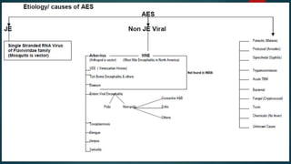 Acute encephalitis suresh ppt | PPTX