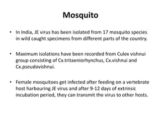 Mosquito
• In India, JE virus has been isolated from 17 mosquito species
in wild caught specimens from different parts of the country.
• Maximum isolations have been recorded from Culex vishnui
group consisting of Cx.tritaeniorhynchus, Cx.vishnui and
Cx.pseudovishnui.
• Female mosquitoes get infected after feeding on a vertebrate
host harbouring JE virus and after 9-12 days of extrinsic
incubation period, they can transmit the virus to other hosts.
 