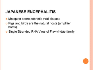 Acute encephalitis syndrome