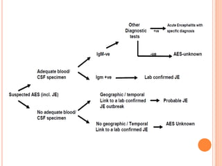 Acute encephalitis syndrome
