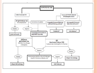 Acute encephalitis syndrome