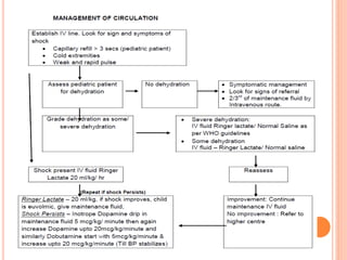 Acute encephalitis syndrome