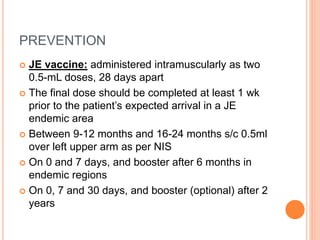 Acute encephalitis syndrome