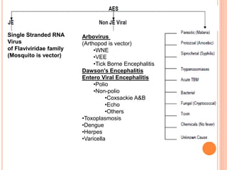 Acute encephalitis syndrome