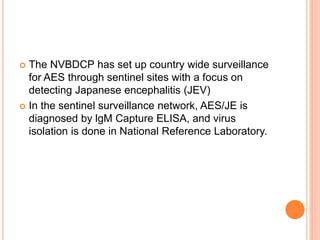 Acute encephalitis syndrome
