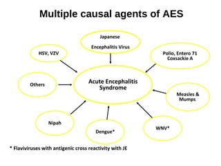 Acute encephalitis syndrome aes surveillance 7.11.17