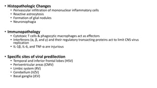 • Histopathologic Changes
• Perivascular infiltration of mononuclear inflammatory cells
• Reactive astrocytosis
• Formation of glial nodules
• Neuronophagia
• Immunopathology
• Cytotoxic T cells & phagocytic macrophages act as effectors
• Interferons (α, β, and γ) and their regulatory transacting proteins act to limit CNS virus
replication
• IL-1β, IL-6, and TNF-α are injurious
• Specific sites of viral predilection
• Temporal and inferior frontal lobes (HSV)
• Periventricular areas (CMV)
• Limbic system (RV)
• Cerebellum (VZV)
• Basal ganglia (JEV)
 