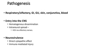 Pathogenesis
• Respiratory/olfactory, GI, GU, skin, conjunctiva, blood
• Entry into the CNS
• Hematogenous dissemination
• Intraneural spread –
• HSV via olfactory nerves.
• Neurovirulence
• Direct cytopathic effect
• Immune-mediated injury
 