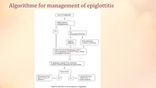 Algorithme for management of epiglottitis
 