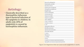 Aetiology:
• Classically described as a
Haemophilus Influenzae
type b bacterial infection of
the epiglottis in children. In
adults only 20% of
epiglottitis is caused by
haemophilus influenzae.
Figure 3.0: Organisms that can cause acute epiglottitis in adults.
 