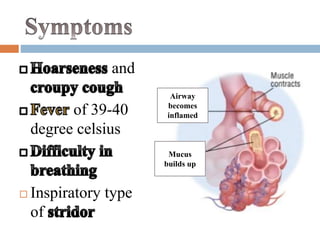 and 
of 39-40 
degree celsius 
 Inspiratory type 
of 
Airway 
becomes 
inflamed 
Mucus 
builds up 
 