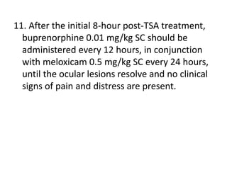 11. After the initial 8-hour post-TSA treatment,
buprenorphine 0.01 mg/kg SC should be
administered every 12 hours, in conjunction
with meloxicam 0.5 mg/kg SC every 24 hours,
until the ocular lesions resolve and no clinical
signs of pain and distress are present.
 