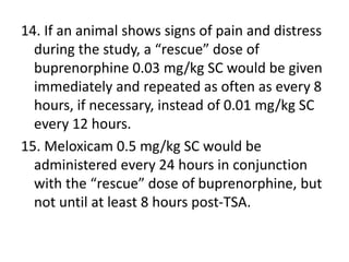 14. If an animal shows signs of pain and distress
during the study, a “rescue” dose of
buprenorphine 0.03 mg/kg SC would be given
immediately and repeated as often as every 8
hours, if necessary, instead of 0.01 mg/kg SC
every 12 hours.
15. Meloxicam 0.5 mg/kg SC would be
administered every 24 hours in conjunction
with the “rescue” dose of buprenorphine, but
not until at least 8 hours post-TSA.
 