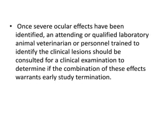• Once severe ocular effects have been
identified, an attending or qualified laboratory
animal veterinarian or personnel trained to
identify the clinical lesions should be
consulted for a clinical examination to
determine if the combination of these effects
warrants early study termination.
 
