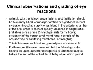 Grading Injection Eye Acute Eye Irritation\Corrosion toxicology studies | PPTX