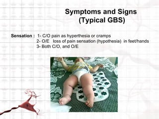 Symptoms and Signs
                             (Typical GBS)

Sensation : 1- C/O pain as hyperthesia or cramps
            2- O/E loss of pain sensation (hypothesia) in feet/hands
            3- Both C/O, and O/E
 
