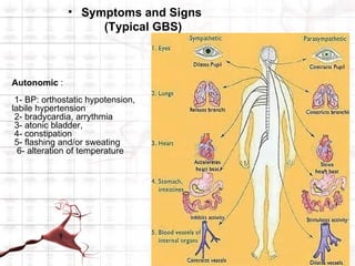• Symptoms and Signs
                   (Typical GBS)



Autonomic :
 1- BP: orthostatic hypotension,
labile hypertension
 2- bradycardia, arrythmia
 3- atonic bladder,
 4- constipation
 5- flashing and/or sweating
  6- alteration of temperature
 