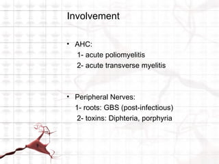 Involvement

• AHC:
  1- acute poliomyelitis
  2- acute transverse myelitis



• Peripheral Nerves:
  1- roots: GBS (post-infectious)
   2- toxins: Diphteria, porphyria
 