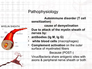 Pathophysiology
                           Autoimmune disorder (T cell
                  sensitization)
MYELIN SHEATH              cause of demyelination
                  Due to attack of the myelin sheath of
                  nerves by:
                • antibodies (Ig M, Ig G)
                • white blood cells (macrophages)
                • Complement activation on the outer
                  surface of myelinated fibers
                               Because (POST-)
                  Virus/Bacteria share antigenic sites with
                  axons & peripheral nerve sheath or both
 