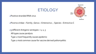 ETIOLOGY
❑Positive stranded RNA virus
❑Picorna viridae – Family ; Genus – Enterovirus ; Species – Entrovirus C
❑3 different Antigenic serotypes – 1, 2, 3
All types cause paralysis
Type 1 most frequently causes epidemic
Type 2 most common cause for vaccine derived poliomyelitis
 