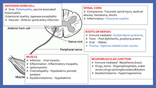 SPINAL CORD
⮚ Compressive -Traumatic spinal injury, epidural
abscess, hematoma, discitis
⮚ Inflammatory -Transverse myelitis
ANTERIOR HORN CELL
⮚ Viral - Poliomyelitis, vaccine associated
Poliomyelitis
Enteroviral myelitis, Japanese encephalitis
⮚ Vascular - Anterior spinal artery infarction
ROOTS OR NERVES
⮚ Immune mediated -Guillain Barre syndrome,
⮚ Toxin - Post diphtheritic, porphyria,arsenic
⮚ Viral - Rabies
⮚ Trauma - Injection related sciatic neuritis
NEUROMUSCULAR JUNCTION
⮚ Immune mediated - Myasthenia Gravis
⮚ Drugs, toxins - Organophosphates, snake
venom,drugs (aminoglycosides),Botulism
⮚ Dyselectrolyemia - Hypermagnesemia
MUSCLE
⮚ Infection - Viral myositis
⮚ Inflammation - Inflammatory myopathy
⮚ (polymyositis)
⮚ Channelopathy - Hypokalemic periodic
paralysis
⮚ Dyselectrolytemia - Hypokalemia
 
