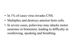 • In 1% of cases virus invades CNS.
• Multiplies and destroys anterior horn cells.
• In severe cases, poliovirus may attacks motor
neurones in brainstem, leading to difficulty in
swallowing, speaking and breathing.
 
