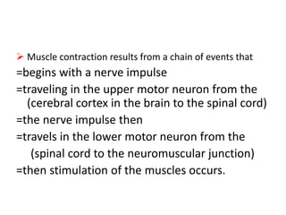  Muscle contraction results from a chain of events that
=begins with a nerve impulse
=traveling in the upper motor neuron from the
(cerebral cortex in the brain to the spinal cord)
=the nerve impulse then
=travels in the lower motor neuron from the
(spinal cord to the neuromuscular junction)
=then stimulation of the muscles occurs.
 