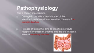Pathophysiology
The 2 primary mechanisms
(1) Damage to the villous brush border of the
intestinemalabsorption of intestinal contents an
osmotic diarrhea
(2) Release of toxins that bind to specific enterocyte
receptorsrelease of chloride ions into the intestinal
lumensecretory diarrhea
 