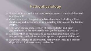  Rotavirus attach and enter mature enterocytes at the tip of the small
intestinal villi
 Cause structural changes to the bowel mucosa, including villous
shortening and mononuclear inflammatory infiltrates in the lamina
propria
 This virus induce maldigestion of carbohydrates and their
accumulation in the intestinal lumen (in the absence of lactase)
 Malabsorption of nutrients and concomitant inhibition of water
reabsorption can lead to a malabsorption component of diarrhea
 Rotavirus secretes an enterotoxin, NSP4 which leads to a calcium-
dependent chloride secretory mechanism
 