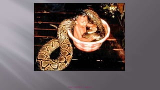 ©2011 MFMER | slide-37
 