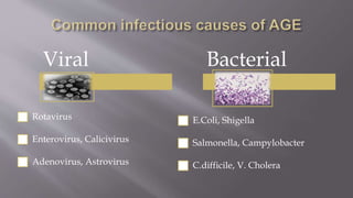 Viral
Rotavirus
Enterovirus, Calicivirus
Adenovirus, Astrovirus
Bacterial
E.Coli, Shigella
Salmonella, Campylobacter
C.difficile, V. Cholera
 