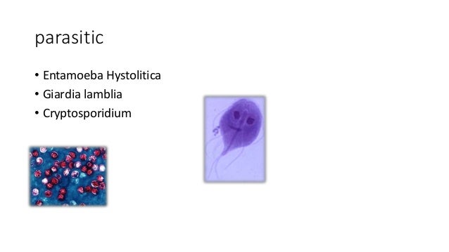 Acute gastroenteritis and fluid management