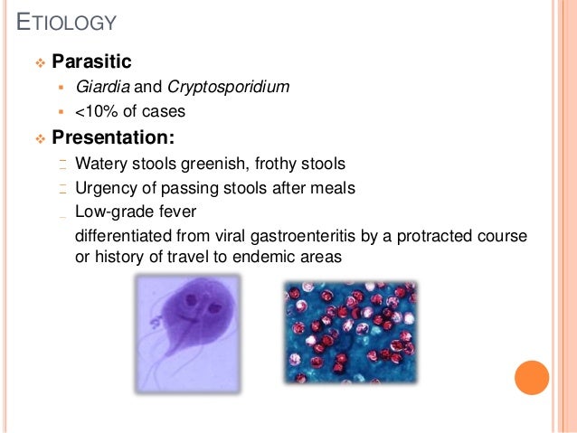 What is acute gastroenteritis pathophysiology - Maple ... What is acute gastroenteritis pathophysiology - Maple ...