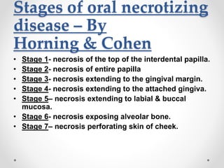 Stages of oral necrotizing
disease – By
Horning & Cohen
• Stage 1- necrosis of the top of the interdental papilla.
• Stage 2- necrosis of entire papilla
• Stage 3- necrosis extending to the gingival margin.
• Stage 4- necrosis extending to the attached gingiva.
• Stage 5– necrosis extending to labial & buccal
mucosa.
• Stage 6- necrosis exposing alveolar bone.
• Stage 7– necrosis perforating skin of cheek.
 