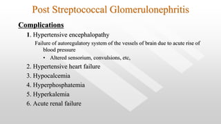 Diét glomerulonephritekben