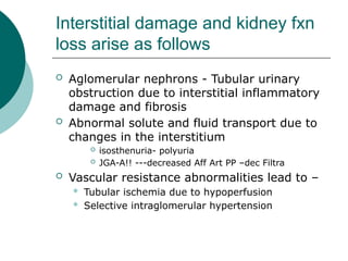 lecture on acute glomerulonephritis 2 (1).pptx