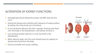 Acute glomerulonephritis and nephrotic syndrome.pptx