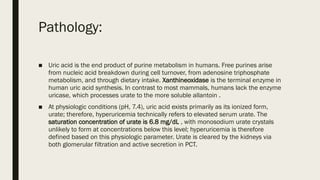 Pathology:
■ Uric acid is the end product of purine metabolism in humans. Free purines arise
from nucleic acid breakdown during cell turnover, from adenosine triphosphate
metabolism, and through dietary intake. Xanthineoxidase is the terminal enzyme in
human uric acid synthesis. In contrast to most mammals, humans lack the enzyme
uricase, which processes urate to the more soluble allantoin .
■ At physiologic conditions (pH, 7.4), uric acid exists primarily as its ionized form,
urate; therefore, hyperuricemia technically refers to elevated serum urate. The
saturation concentration of urate is 6.8 mg/dL , with monosodium urate crystals
unlikely to form at concentrations below this level; hyperuricemia is therefore
defined based on this physiologic parameter. Urate is cleared by the kidneys via
both glomerular filtration and active secretion in PCT.
 