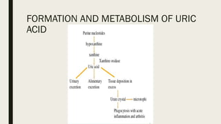 FORMATION AND METABOLISM OF URIC
ACID
 