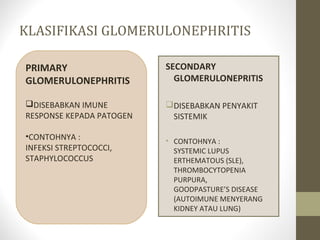 KLASIFIKASI GLOMERULONEPHRITIS
PRIMARY
GLOMERULONEPHRITIS

SECONDARY
GLOMERULONEPRITIS

DISEBABKAN IMUNE
RESPONSE KEPADA PATOGEN

DISEBABKAN PENYAKIT
SISTEMIK

•CONTOHNYA :
INFEKSI STREPTOCOCCI,
STAPHYLOCOCCUS

• CONTOHNYA :
SYSTEMIC LUPUS
ERTHEMATOUS (SLE),
THROMBOCYTOPENIA
PURPURA,
GOODPASTURE’S DISEASE
(AUTOIMUNE MENYERANG
KIDNEY ATAU LUNG)

 