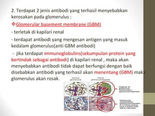 2. Terdapat 2 jenis antibodi yang terhasil menyebabkan
kerosakan pada glomerulus :
Glomerular basement membrane (GBM)
- terletak di kapilari renal
- terdapat antibodi yang mengesan antigen yang masuk
kedalam glomerulus(anti GBM antibodi)
- jika terdapat immunoglobulins(sekumpulan protein yang
bertindak sebagai antibodi) di kapilari renal , maka akan
menyebabkan antibodi tidak dapat berfungsi dengan baik
disebabkan antibodi yang terhasil akan menentang (GBM) maka
glomerulus akan rosak.

 