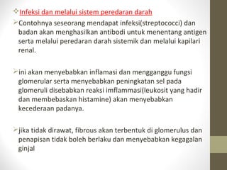 Infeksi dan melalui sistem peredaran darah
Contohnya seseorang mendapat infeksi(streptococci) dan
badan akan menghasilkan antibodi untuk menentang antigen
serta melalui peredaran darah sistemik dan melalui kapilari
renal.
ini akan menyebabkan inflamasi dan mengganggu fungsi
glomerular serta menyebabkan peningkatan sel pada
glomeruli disebabkan reaksi imflammasi(leukosit yang hadir
dan membebaskan histamine) akan menyebabkan
kecederaan padanya.
jika tidak dirawat, fibrous akan terbentuk di glomerulus dan
penapisan tidak boleh berlaku dan menyebabkan kegagalan
ginjal

 