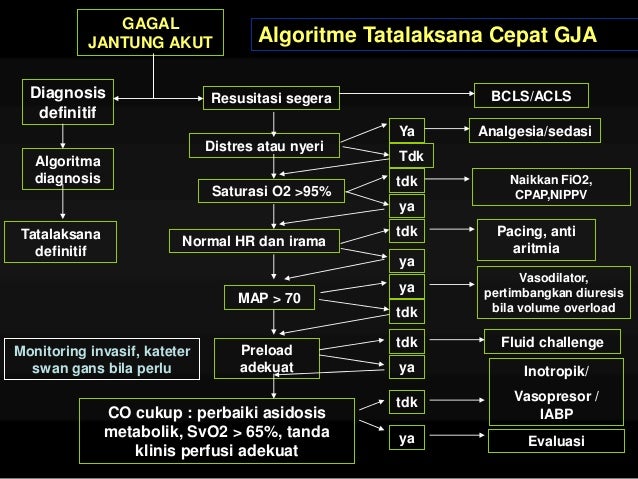 Tatalaksana Gagal Jantung Akut ( Acute Heart Failure Update)