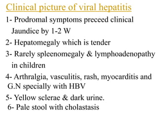 Clinical picture of viral hepatitis
1- Prodromal symptoms preceed clinical
Jaundice by 1-2 W
2- Hepatomegaly which is tender
3- Rarely spleenomegaly & lymphoadenopathy
in children
4- Arthralgia, vasculitis, rash, myocarditis and
G.N specially with HBV
5- Yellow sclerae & dark urine.
6- Pale stool with cholastasis
 
