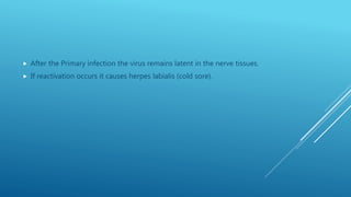  After the Primary infection the virus remains latent in the nerve tissues.
 If reactivation occurs it causes herpes labialis (cold sore).
 