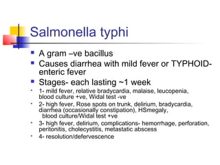 Salmonella typhi
 A gram –ve bacillus
 Causes diarrhea with mild fever or TYPHOID-
enteric fever
 Stages- each lasting ~1 week
 1- mild fever, relative bradycardia, malaise, leucopenia,
blood culture +ve, Widal test -ve
 2- high fever, Rose spots on trunk, delirium, bradycardia,
diarrhea (occasionally constipation), HSmegaly,
blood culture/Widal test +ve
 3- high fever, delirium, complications- hemorrhage, perforation,
peritonitis, cholecystitis, metastatic abscess
 4- resolution/defervescence
 