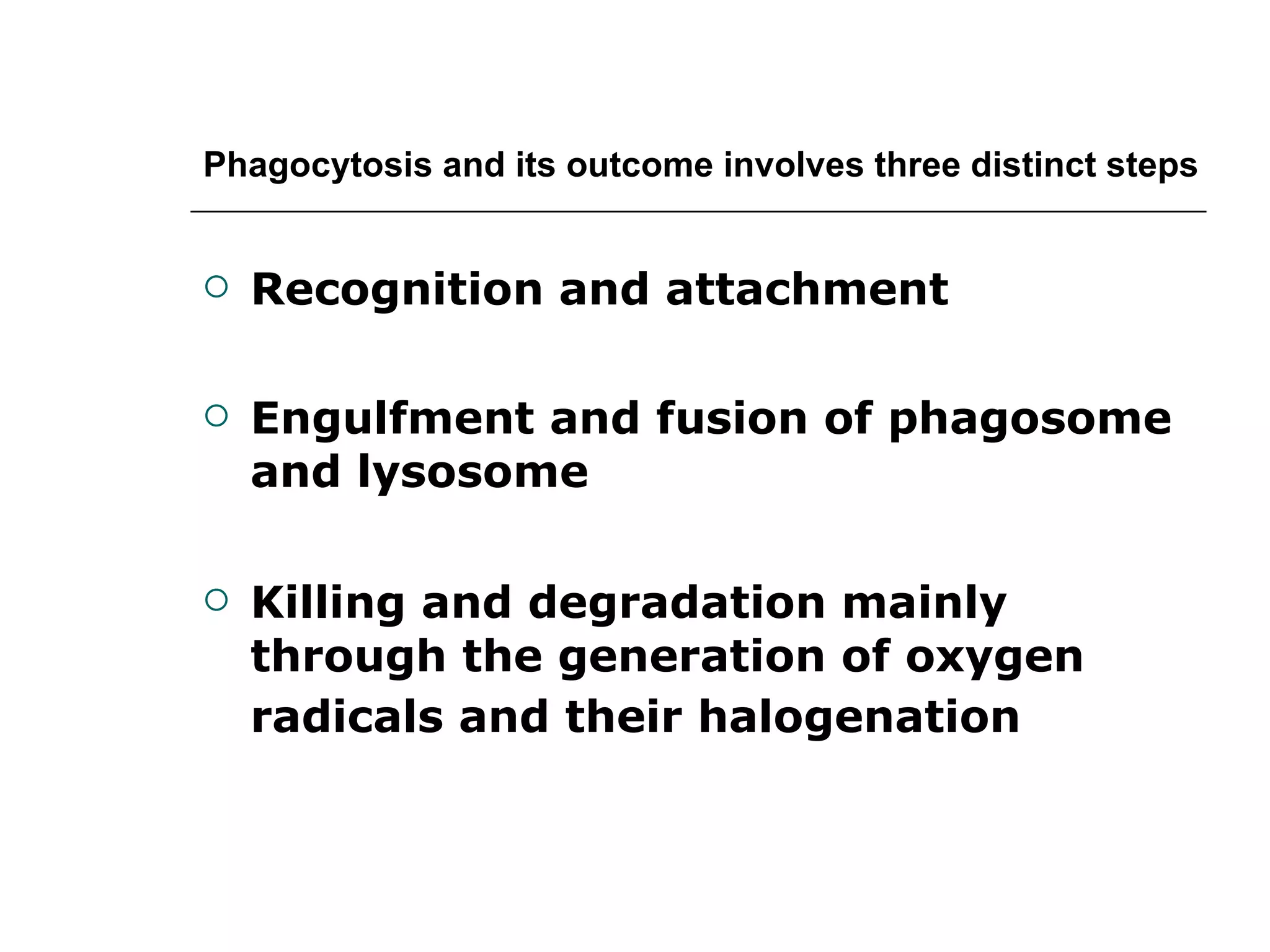 Phagocytosis and its outcome involves three distinct steps Recognition and attachment Engulfment and fusion of phagosome and lysosome Killing and degradation mainly through the generation of oxygen radicals and their halogenation   