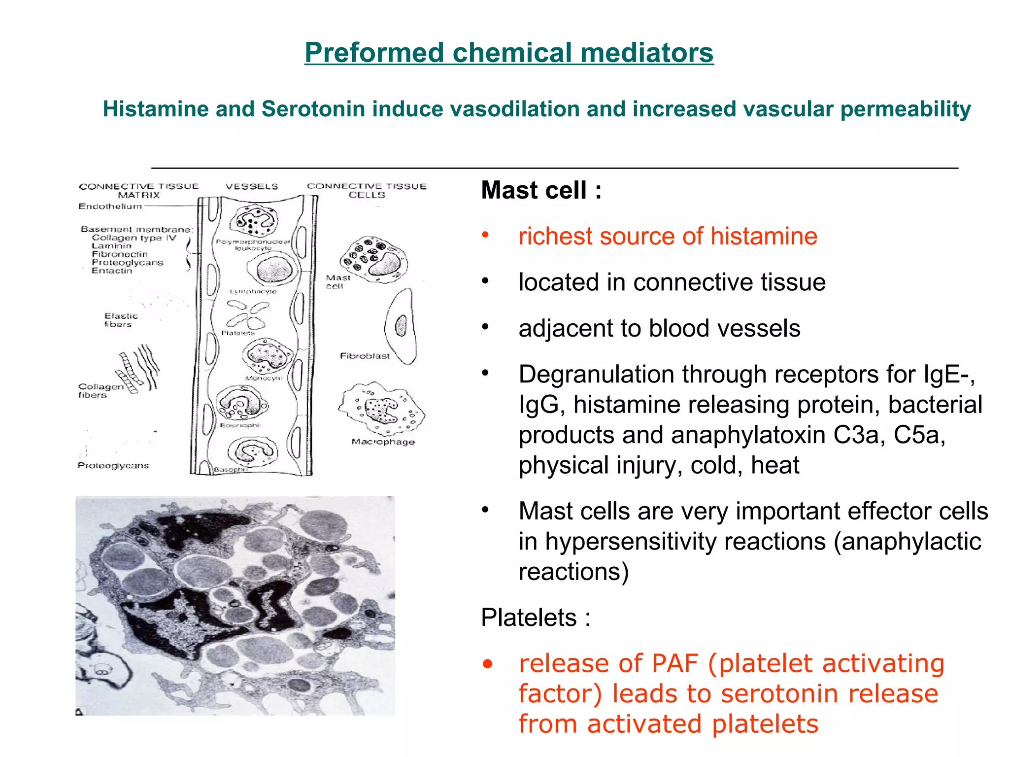 Preformed chemical mediators Histamine and Serotonin induce vasodilation and increased vascular permeability Mast cell :  richest source of histamine located in connective tissue  adjacent to blood vessels Degranulation through receptors for IgE-, IgG, histamine releasing protein, bacterial products and anaphylatoxin C3a, C5a, physical injury, cold, heat Mast cells are very important effector cells in hypersensitivity reactions (anaphylactic reactions) Platelets : release of PAF (platelet activating factor) leads to serotonin release from activated platelets 
