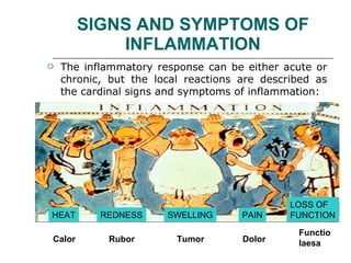 Acute inflammation | PPT